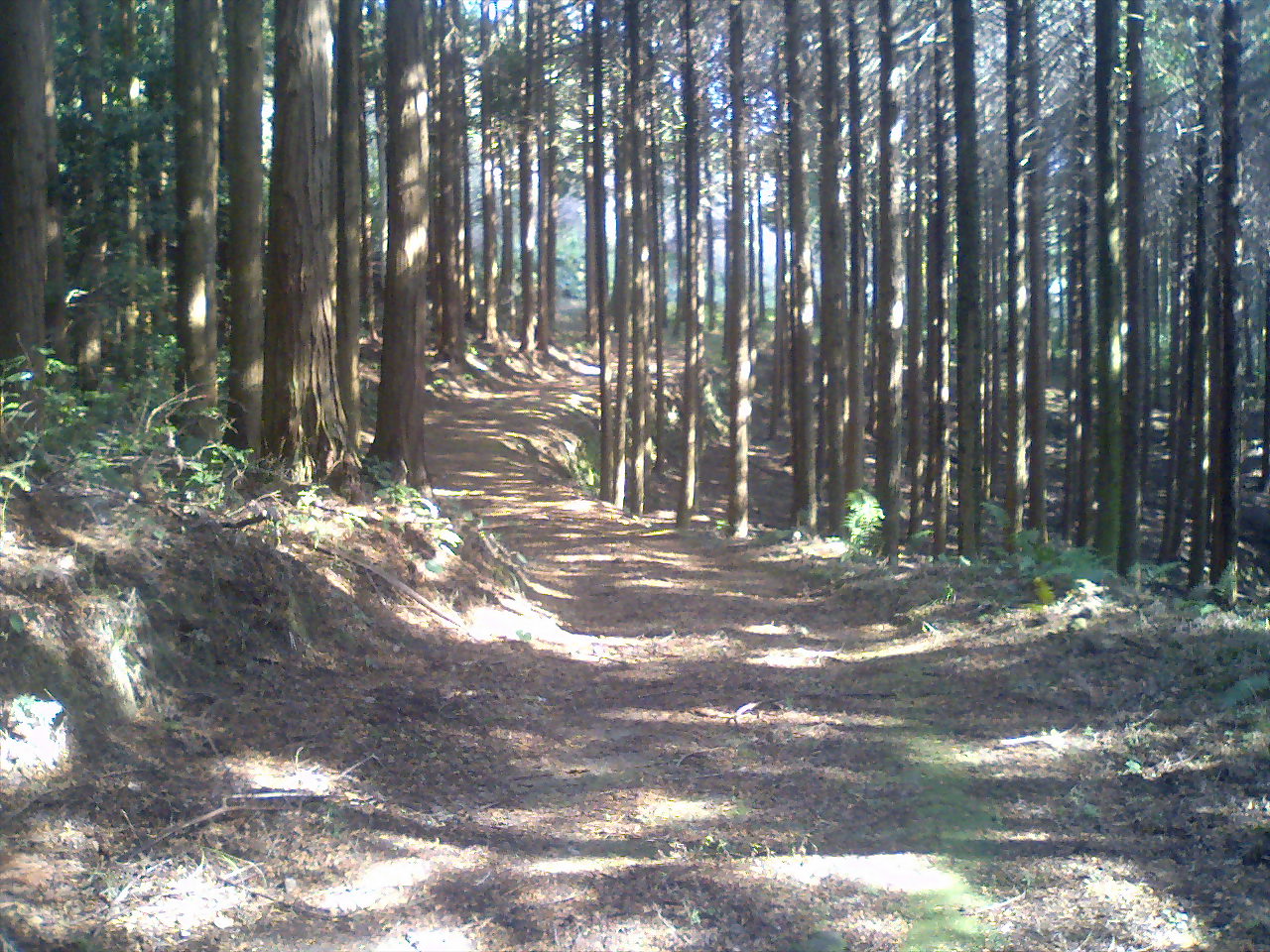 e0138939_0155278.jpg