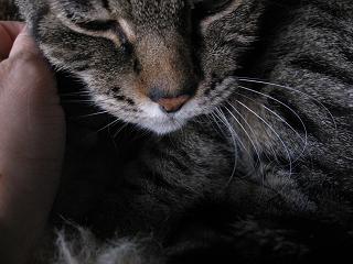 e0113040_19592781.jpg