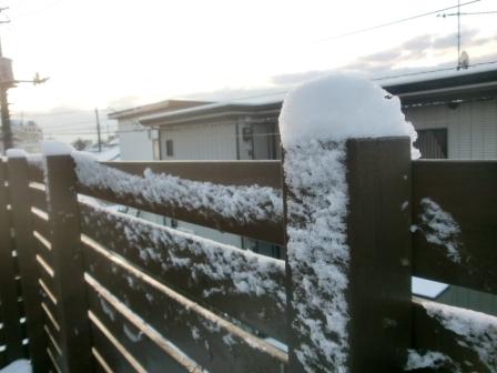 初雪だあ~!_c0152341_10453518.jpg