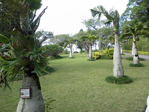 e0186942_14345388.jpg