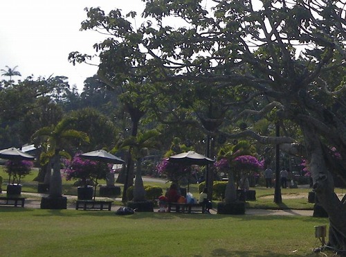e0186942_1435318.jpg