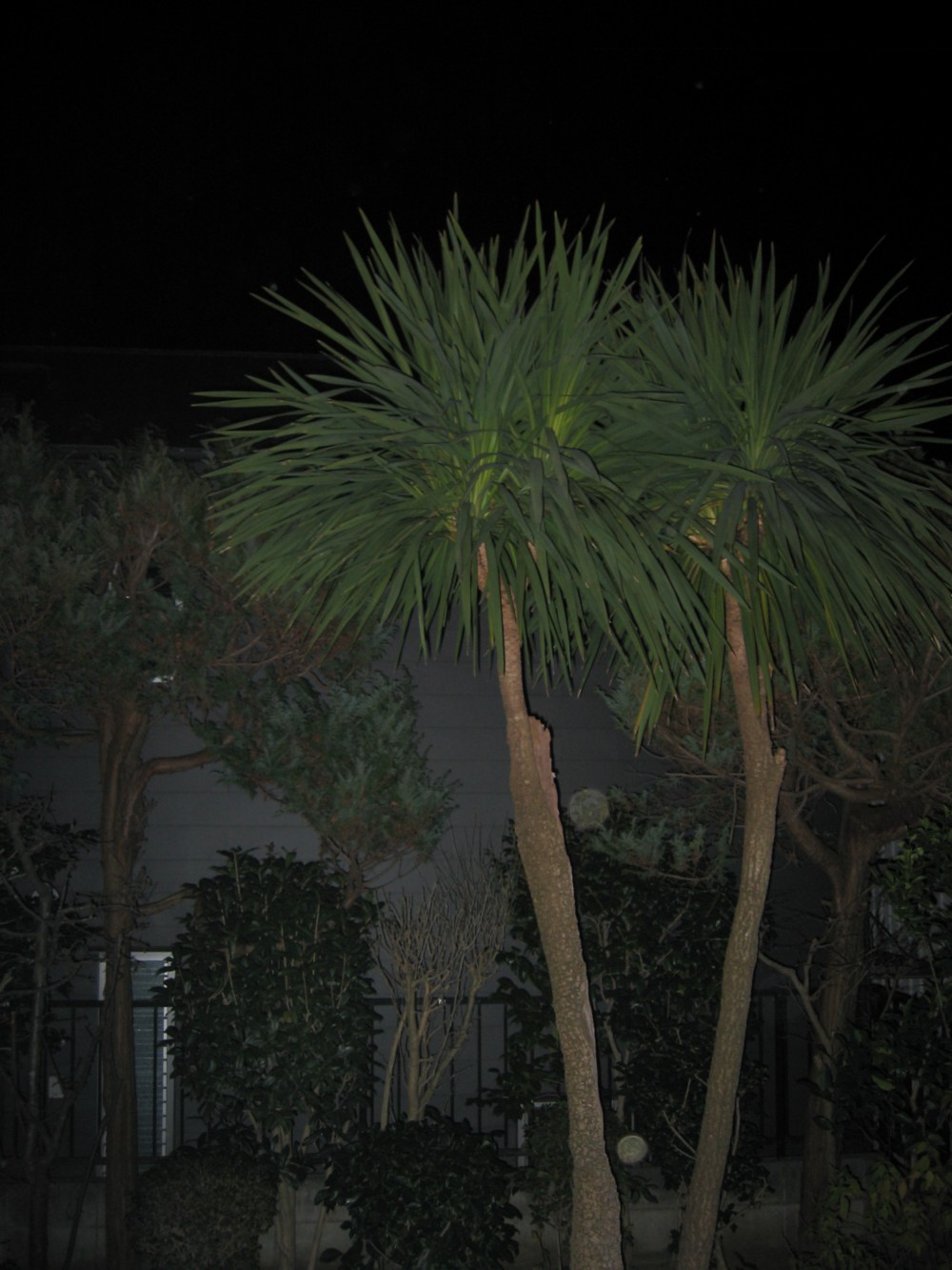 d0075649_9191327.jpg