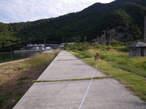 f0046250_0315286.jpg