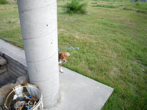 f0046250_0422076.jpg