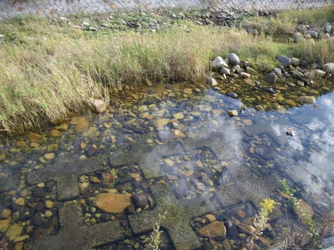 f0046250_0435130.jpg