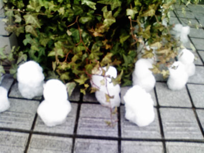 東京の雪_a0162853_13445136.jpg