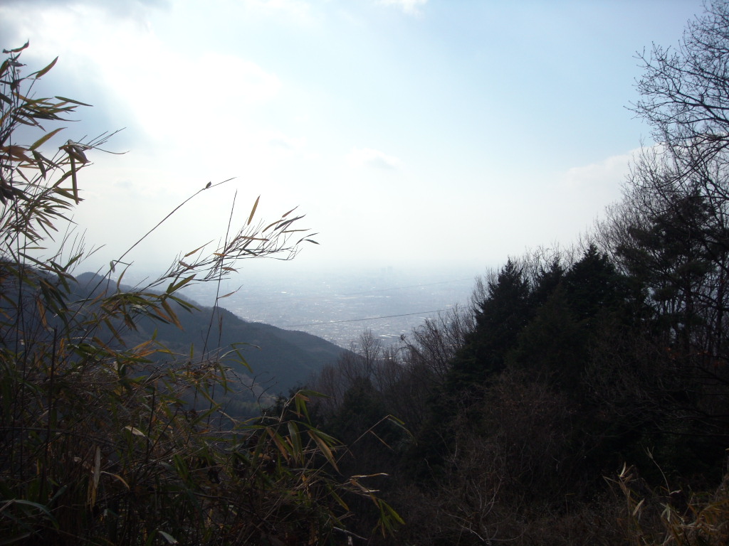 野山Walk（２）_d0137658_17304936.jpg