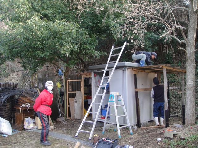 定例活動日「桜古木のツタ切り」_c0108460_18165278.jpg