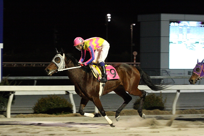2010年1月22日(金) 高知競馬 8R B3_a0077663_1733160.jpg
