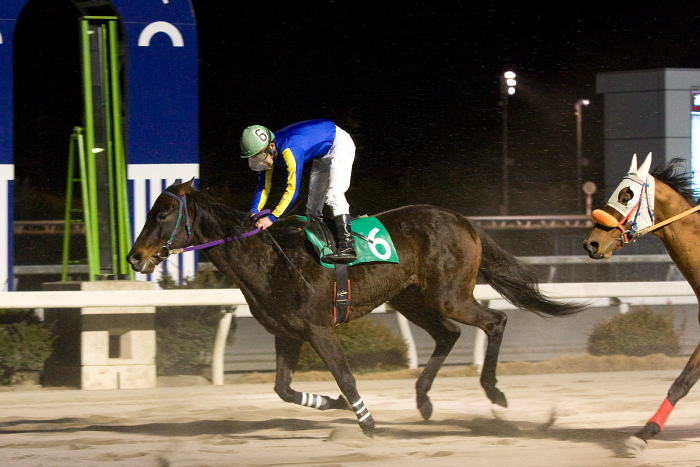 2010年1月22日(金) 高知競馬 8R B3_a0077663_1734059.jpg