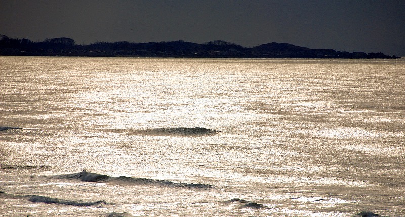 今日は、穏かな日本海を見れました。_f0121379_194025.jpg