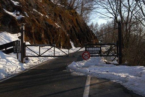 c0212083_1143024.jpg