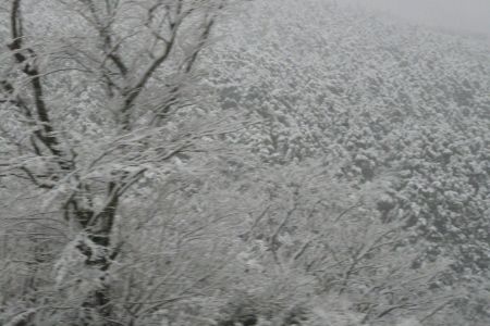 2010年2月2日 小樽に行く途中を想い出した_b0098584_14161684.jpg