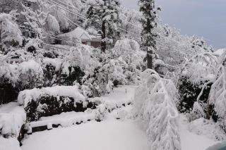 2010年2月2日 小樽に行く途中を想い出した_b0098584_14164258.jpg