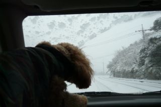 2010年2月2日 小樽に行く途中を想い出した_b0098584_14182783.jpg