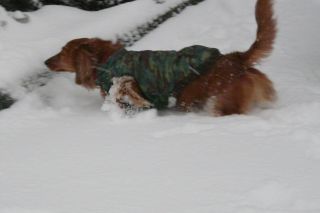 2010年2月2日 小樽に行く途中を想い出した_b0098584_14192645.jpg