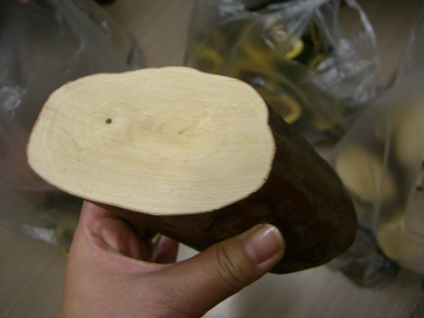 擬態?_a0045293_16341322.jpg