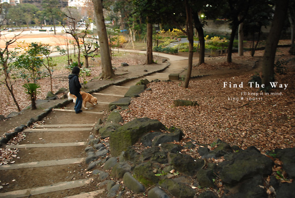 【犬的散歩日和】東京・芝 増上寺と芝公園 2/2 〜 旧台徳院霊廟惣門_f0054594_5261155.jpg