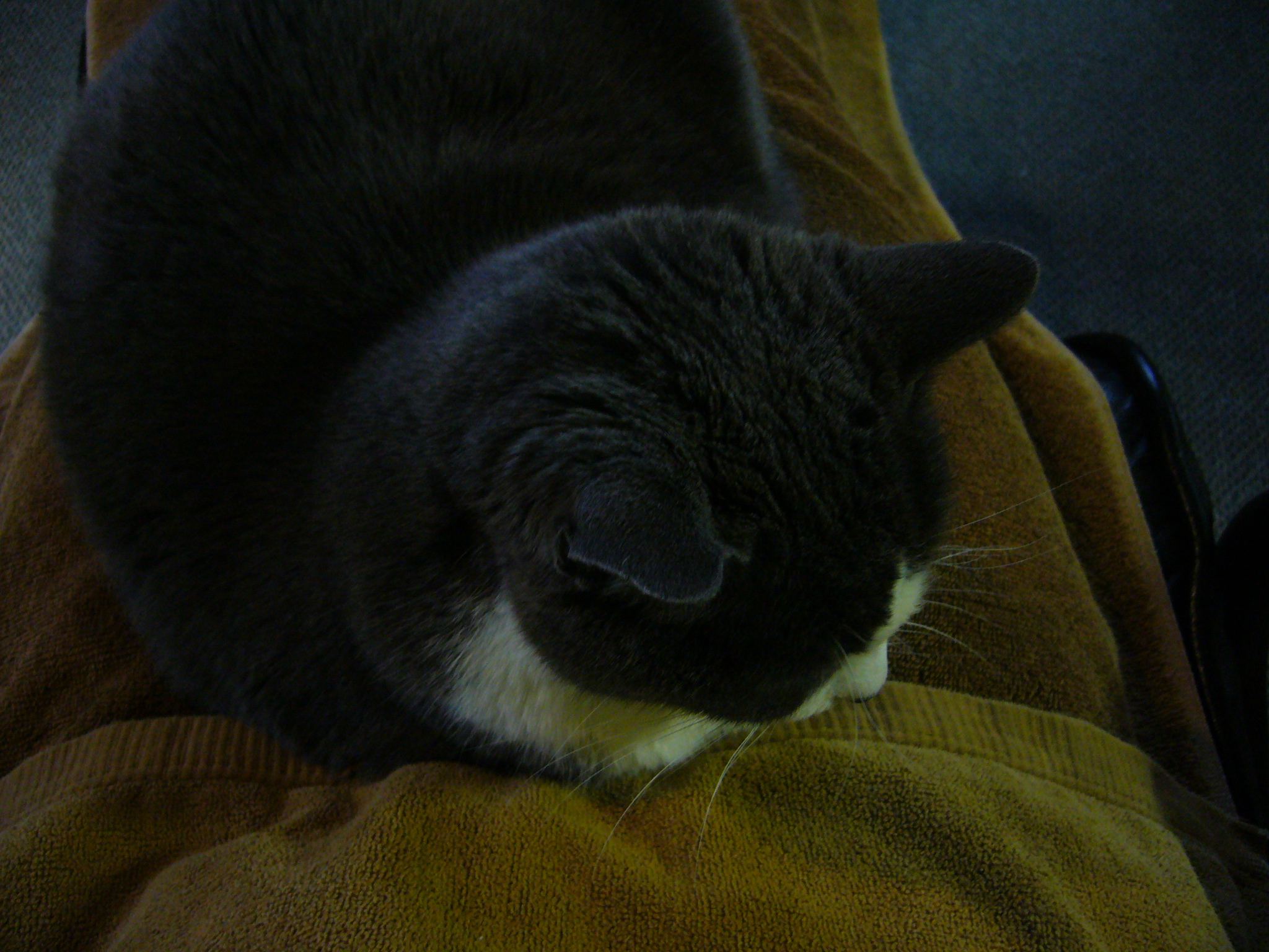 f0169397_56348.jpg