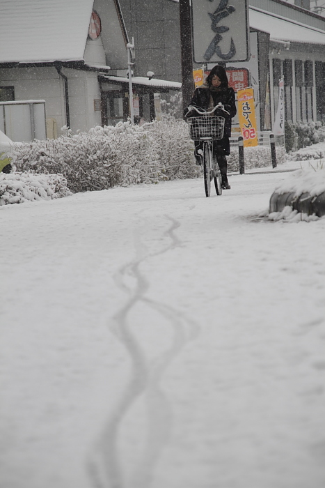 雪の日の足跡_e0135098_026410.jpg