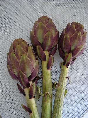 carciofi..._a0169200_9504497.jpg