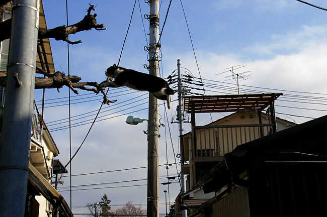c0149302_23202229.jpg