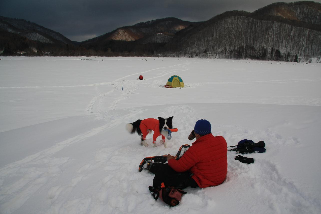 f0034602_19385612.jpg