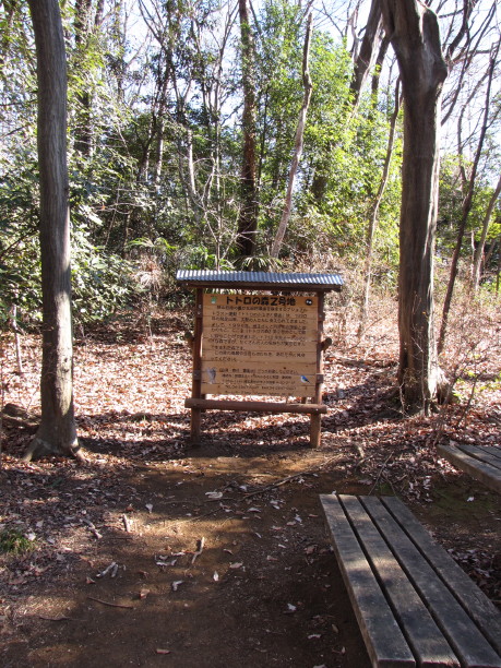 b0116703_2593441.jpg