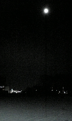 e0180406_1492293.jpg