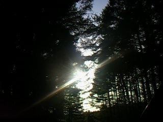 f0024708_047092.jpg