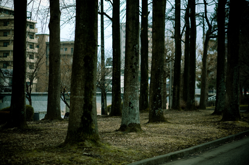 d0146912_21842.jpg