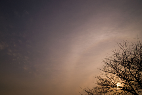 1月の空_a0096313_11494720.jpg