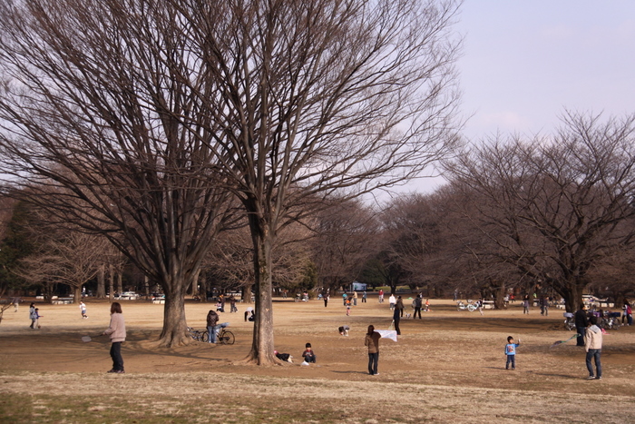 昼下がりの光が丘公園_b0165522_13253224.jpg