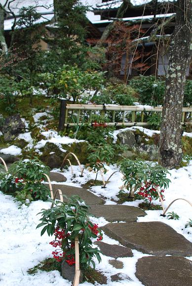 東慶寺　（2月2日）_d0085228_19191875.jpg