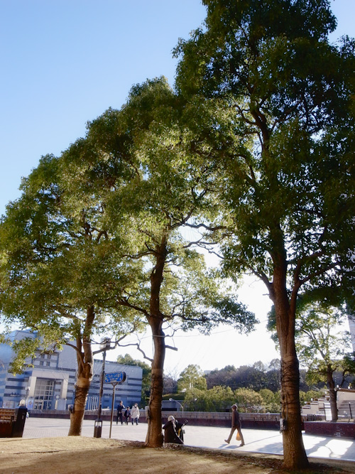 291 写真界の怒れる若者たち Tokyo Naha Chromatic 291 写真界の怒れる若者たち Tokyo Naha Chromatic