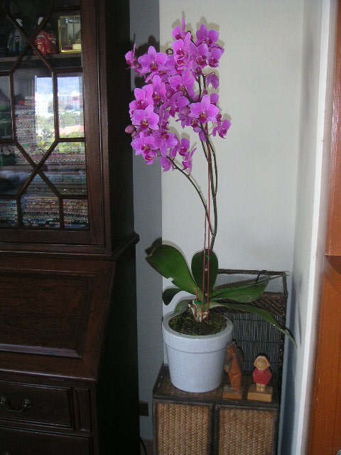c0127933_846164.jpg
