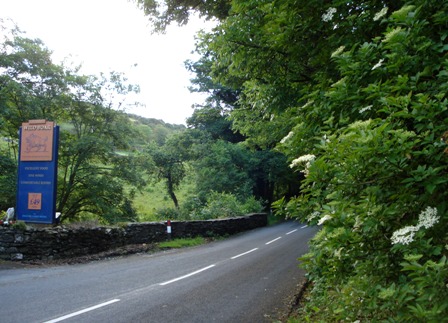 d0040546_20195565.jpg