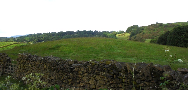 d0040546_2038235.jpg