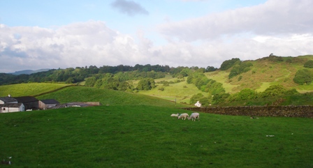 d0040546_21293376.jpg