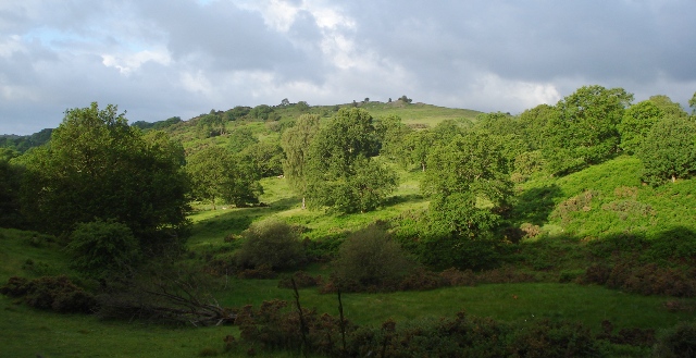 d0040546_2130057.jpg