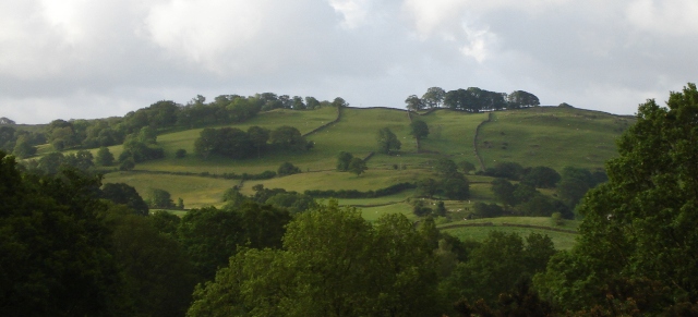 d0040546_21304983.jpg