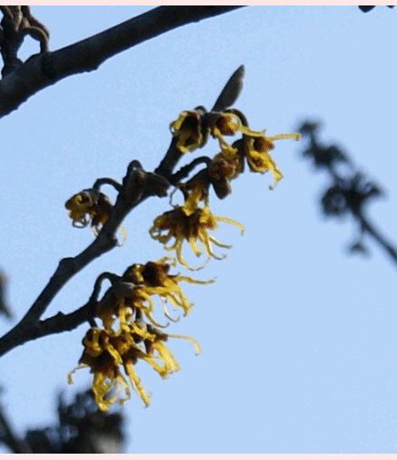 f0031546_2113023.gif
