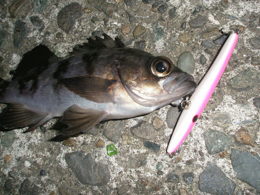 f0150151_23224455.gif