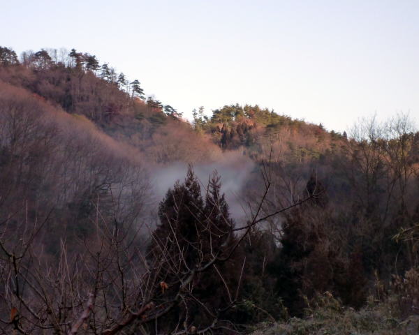 b0129962_10384434.jpg