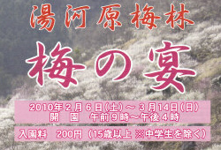 「湯河原 梅林梅の宴」のご案内  平成22年2月6日（土）～3月14日（日）_d0011266_1602753.jpg