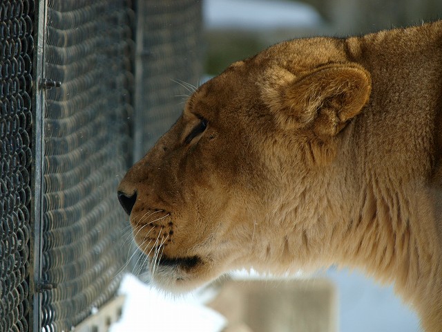 b0145677_104161.jpg
