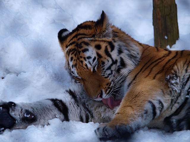 b0145677_1042432.jpg