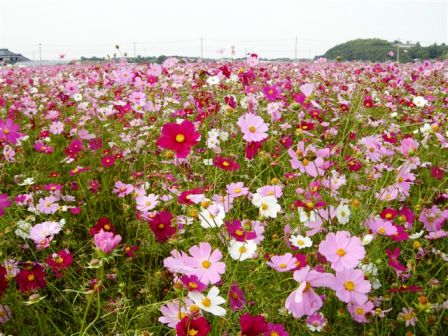 大分旅行記再開します。_c0172180_18344529.jpg