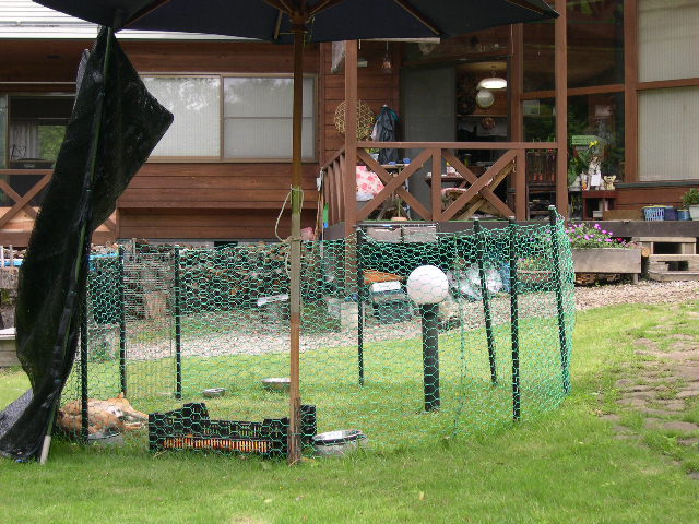 d0085887_23175129.jpg