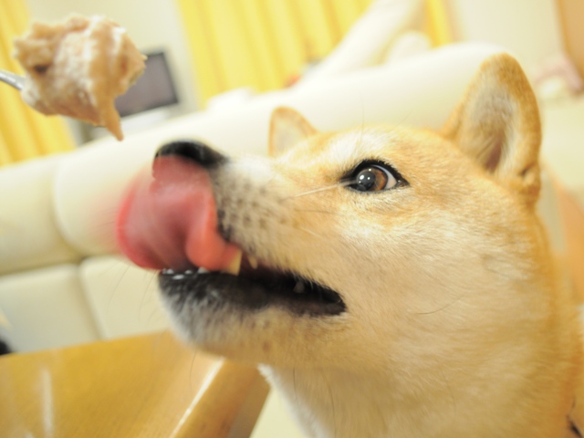 北国からのお届け物_a0126590_2352455.jpg